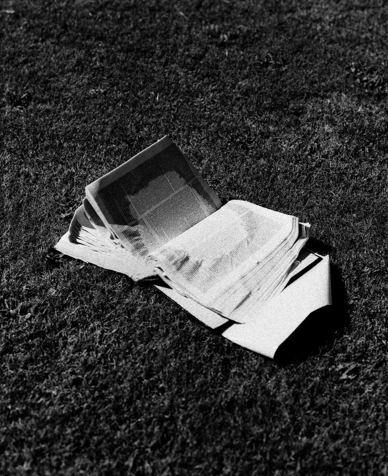 © Brendon Kahn - Image from the Wet Grass, Dry Shade photography project