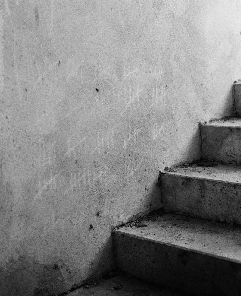 © Brendon Kahn - Image from the Wet Grass, Dry Shade photography project