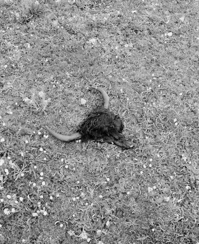 © Brendon Kahn - Image from the Wet Grass, Dry Shade photography project