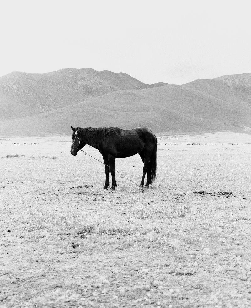 © Brendon Kahn - Image from the Wet Grass, Dry Shade photography project