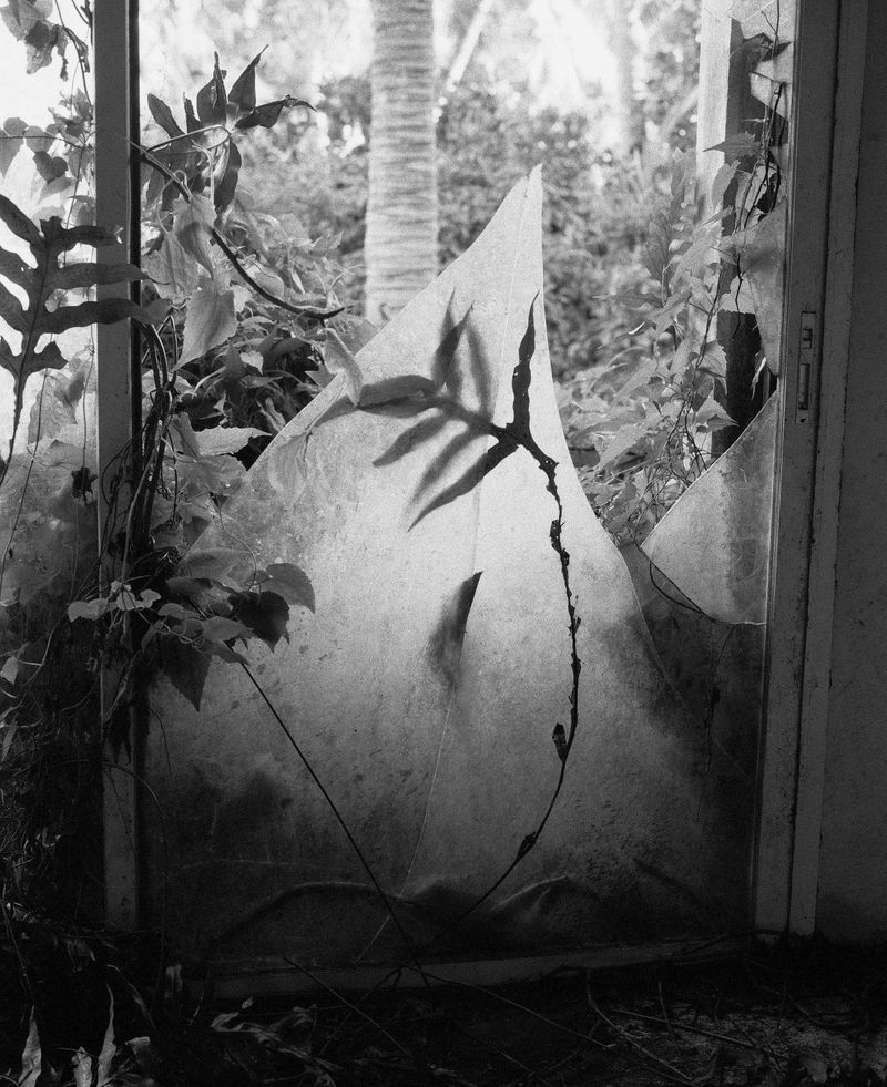 © Brendon Kahn - Image from the Wet Grass, Dry Shade photography project