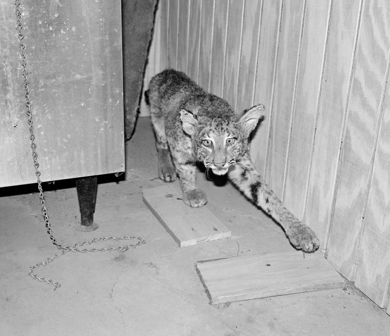 © Brendon Kahn - Image from the YOU CAN LIVE FOREVER IN PARADISE ON EARTH photography project