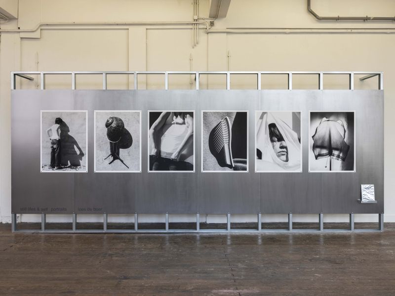 © Loes de Boer - installation overview