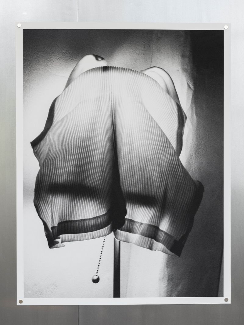 © Loes de Boer - still life (20)2024, fine art photo print on metal attached with magnets, 75 x 100 cm
