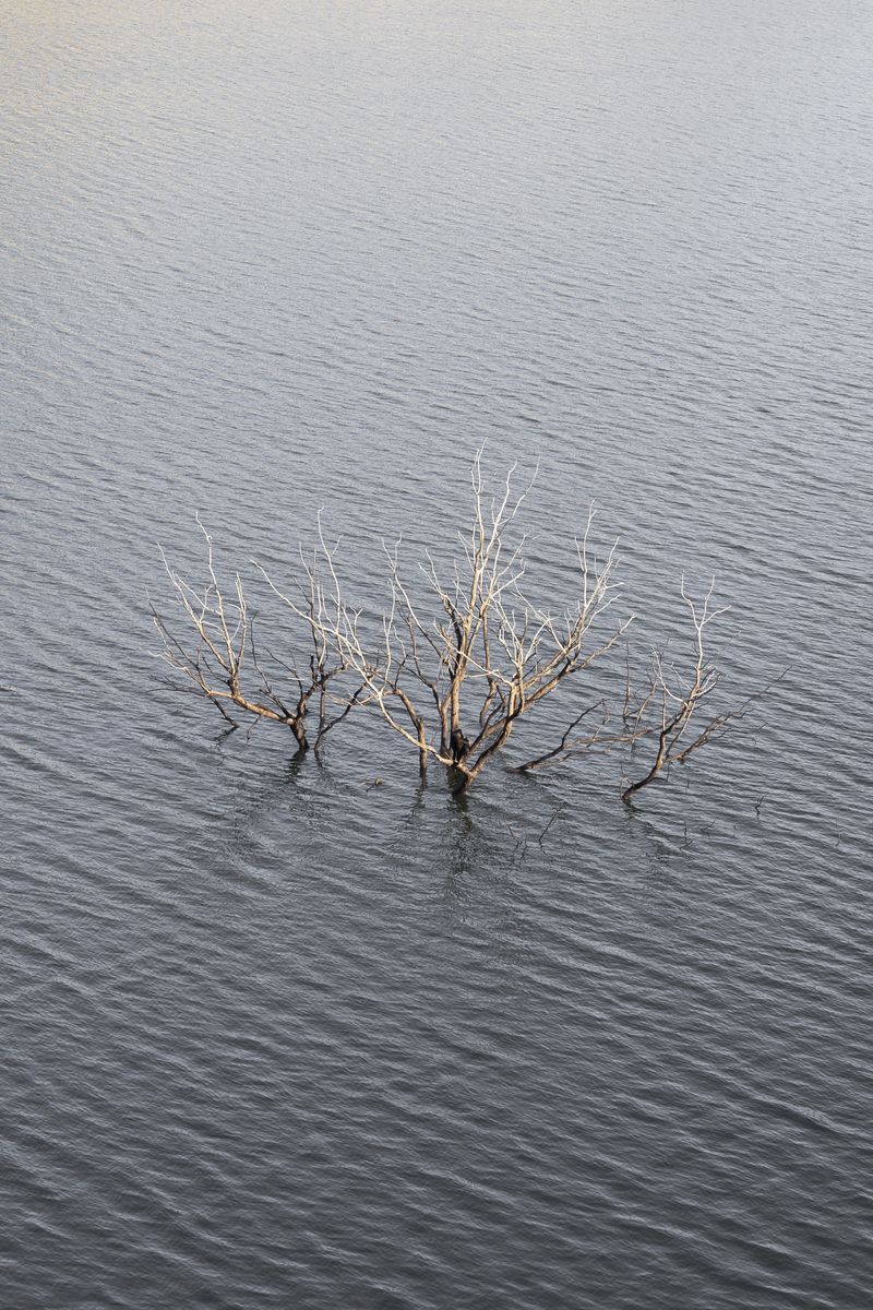 © Catara Rego - Image from the Sacrifice Zone photography project