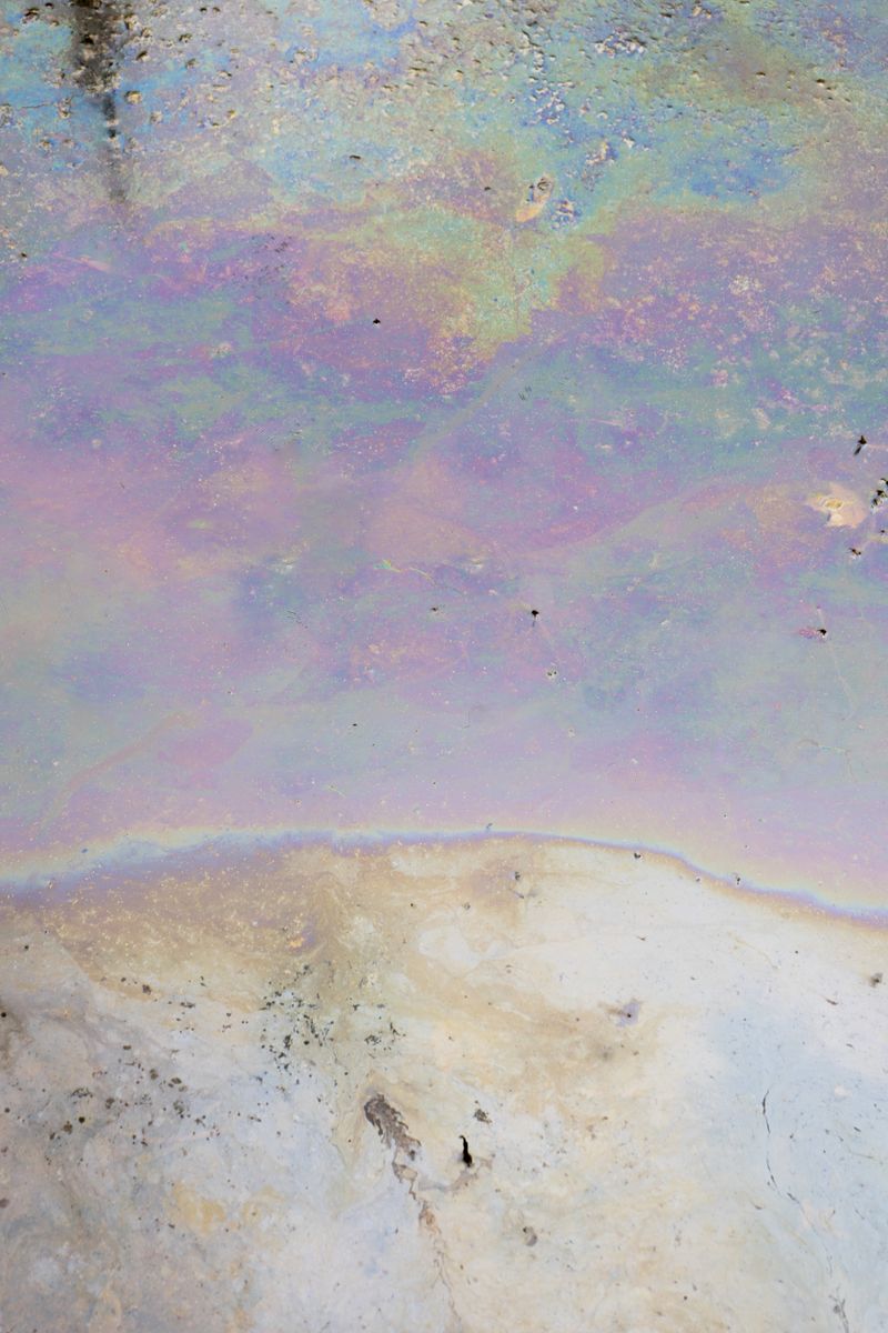 © Catara Rego - Image from the Sacrifice Zone photography project