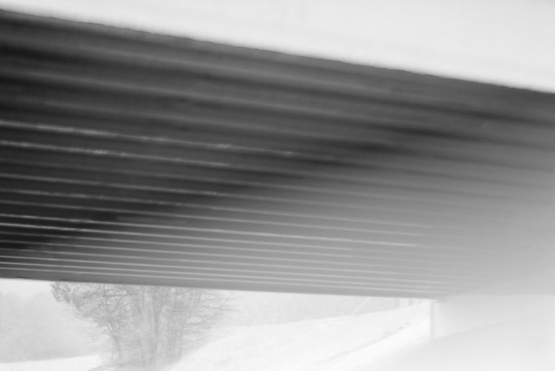 © Beth Lilly - Quivering, 2024