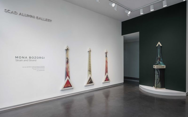 © Mona Bozorgi - Installation, Strain and Strand, SCAD MOA, 2026