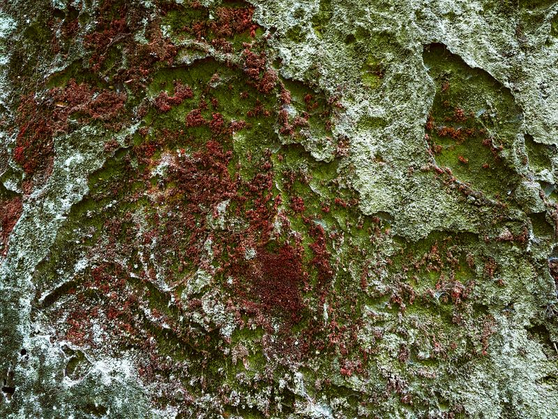 © Martin Tscholl - Image from the Relief photography project