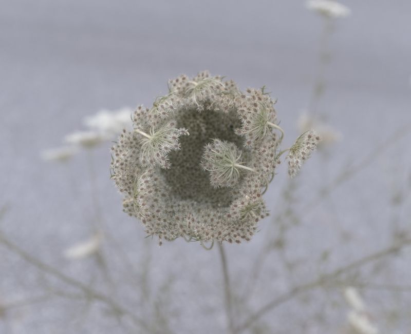© Stefania Orfanidou - Image from the CACHE photography project