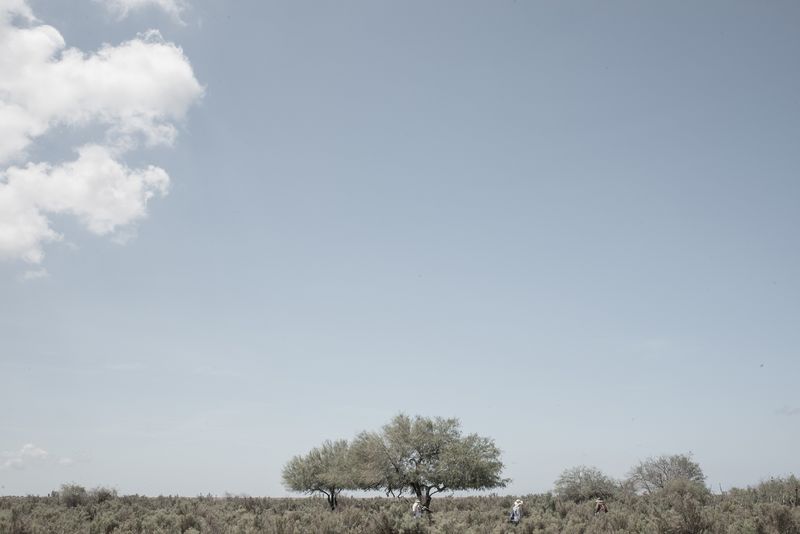 © Zahara Gomez Lucini - Image from the Recipes for memory photography project