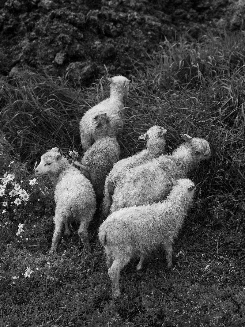 © Jan Richard Heinicke - Image from the Radiant Grounds photography project