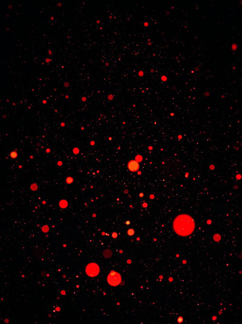 © Jan Richard Heinicke - Snowstorm in Narsaq.