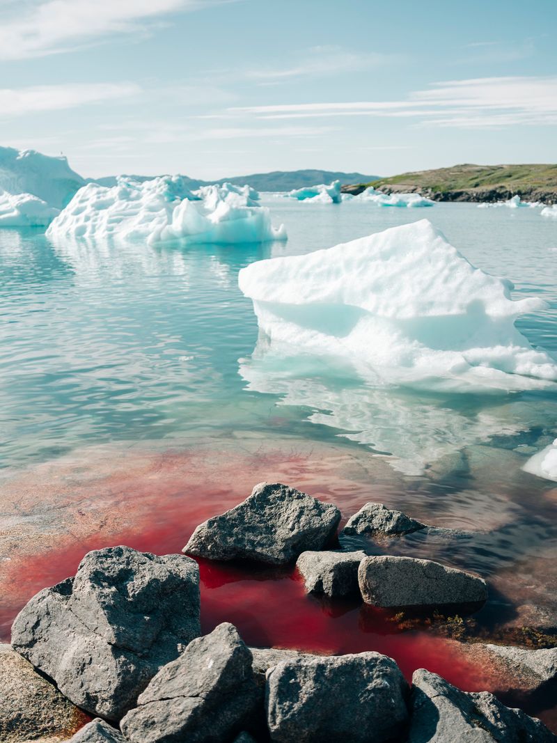 © Jan Richard Heinicke - Blood of a seal in the harbor of Narsaq.
