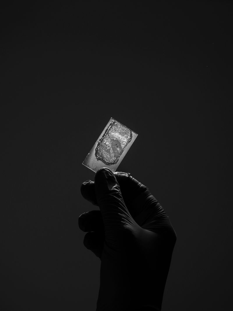 © Jan Richard Heinicke - Thin section of a rock from Greenland.