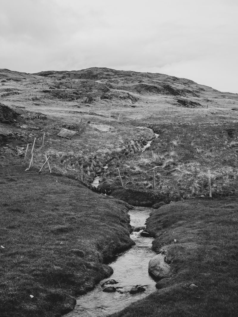 © Jan Richard Heinicke - A pasture near Qassiarsuq.