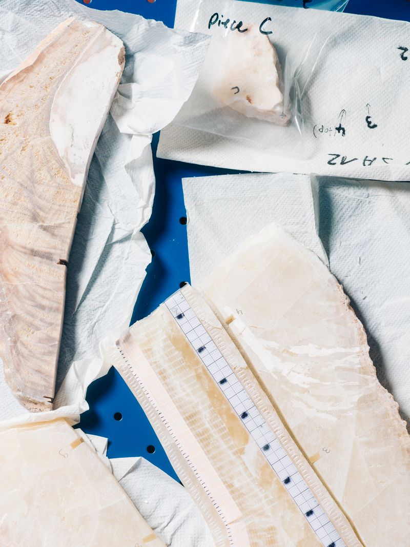 © Jan Richard Heinicke - Image from the The Past is the Key to the Future photography project