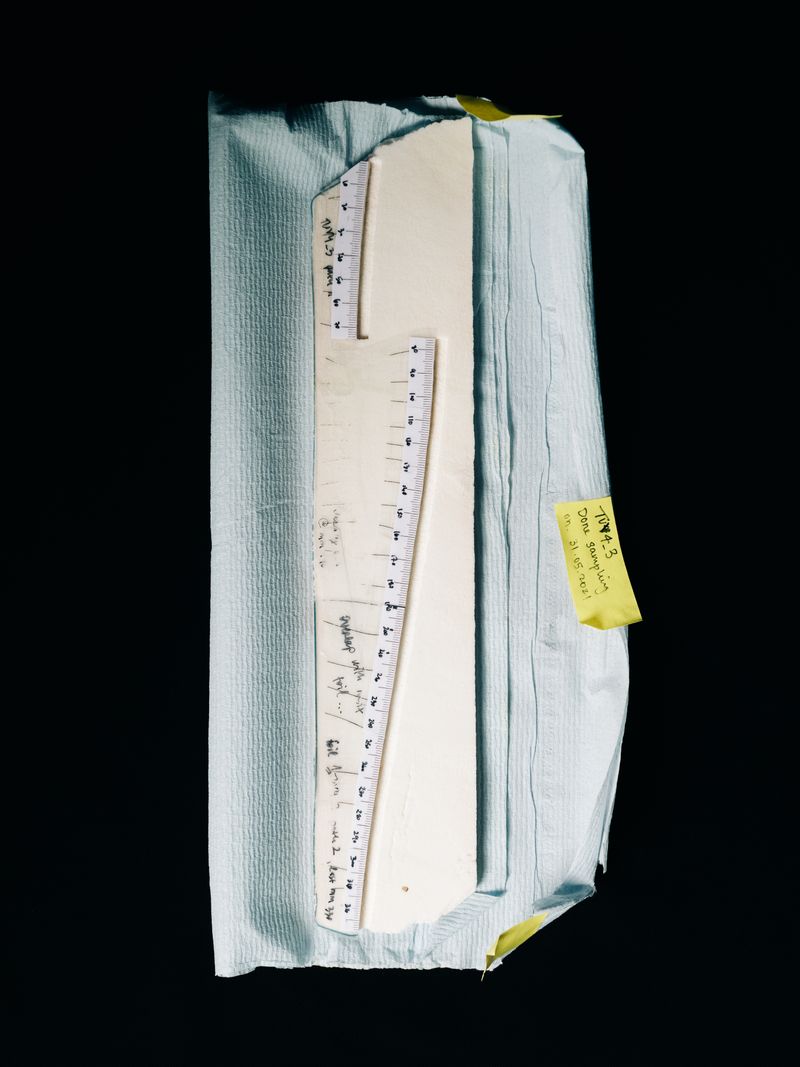 © Jan Richard Heinicke - A coral core extracted close to Rotuma Island in the Pacific.