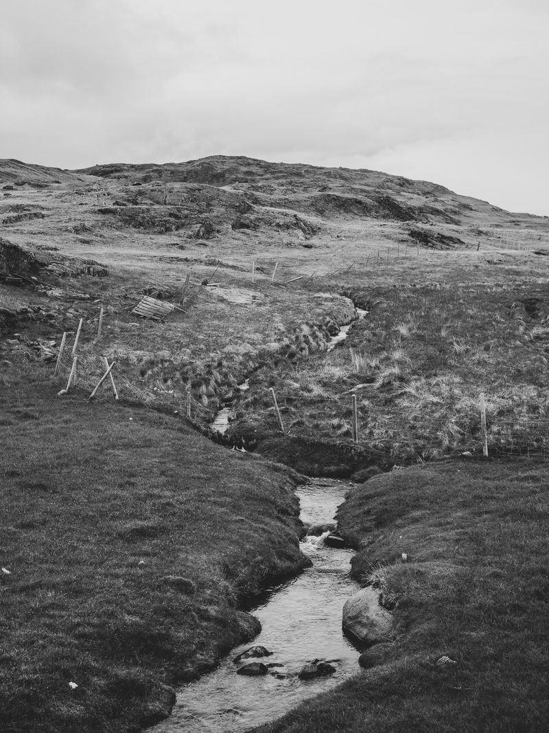 © Jan Richard Heinicke - A pasture near Qassiarsuq.