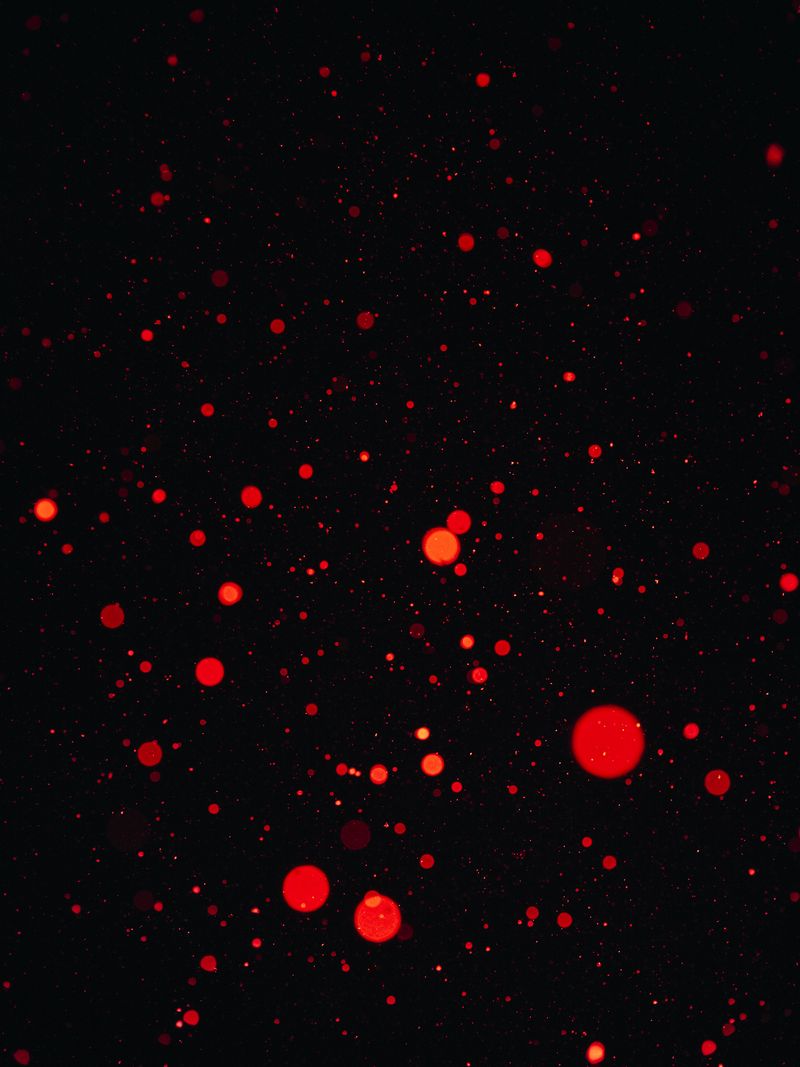 © Jan Richard Heinicke - Snowstorm in Narsaq.