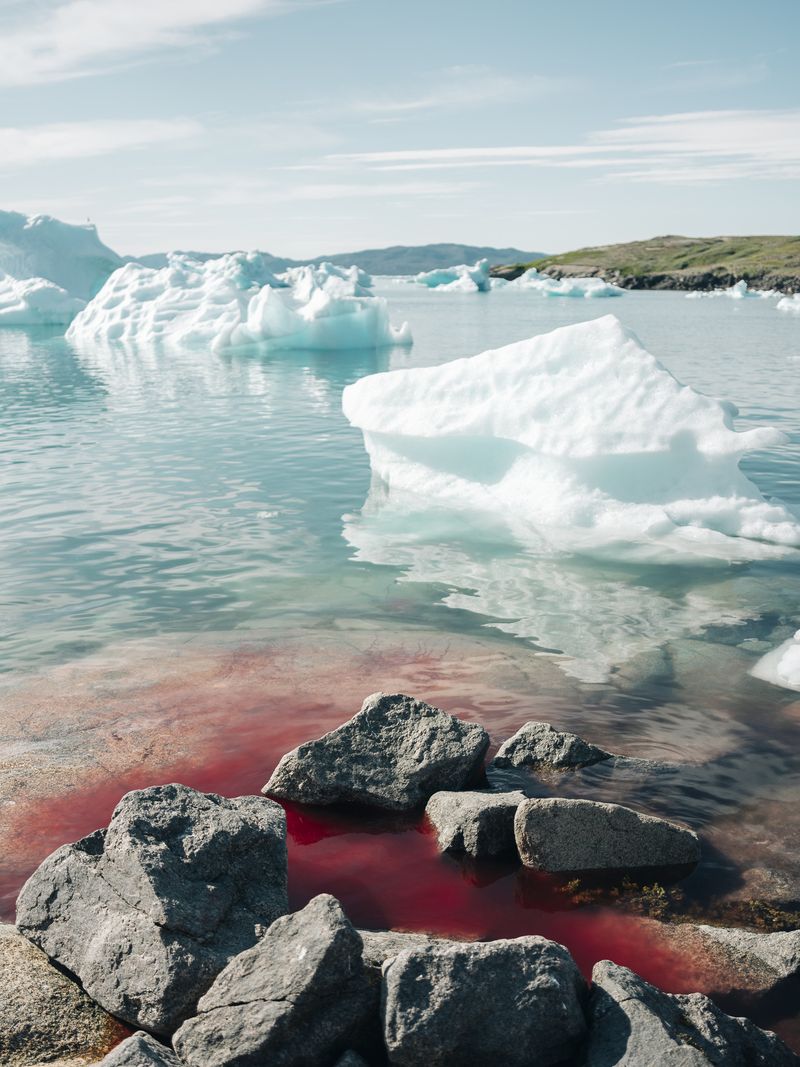 © Jan Richard Heinicke - Blood of a seal in the harbor of Narsaq.