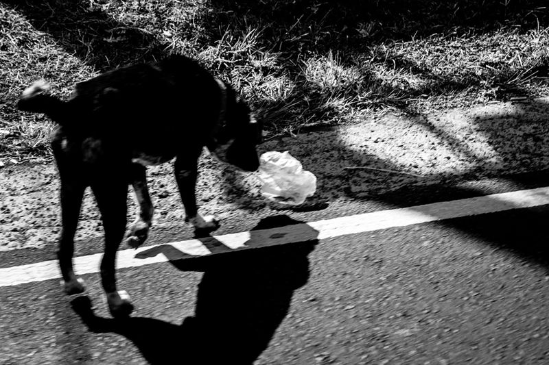 © David Corrochano - Image from the We are all heroes photography project