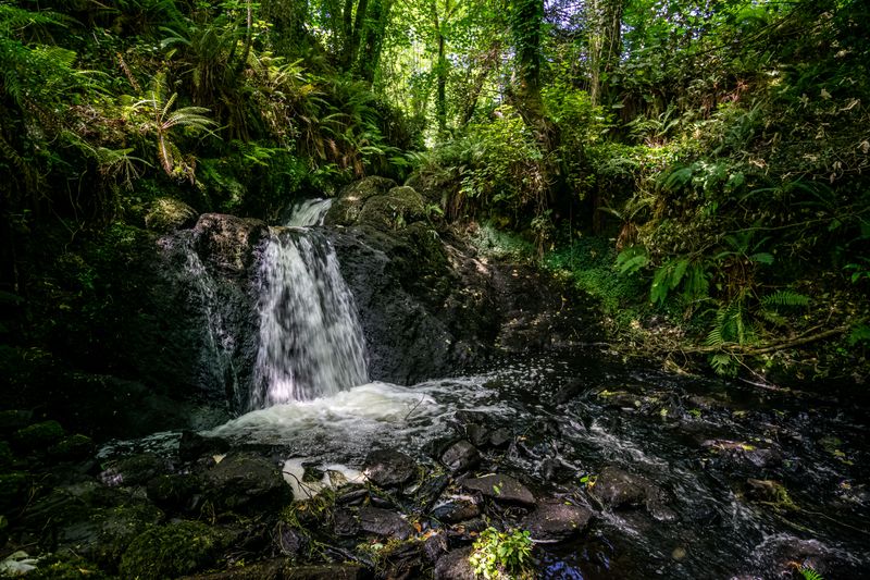 © Cody Ryan Tippie - Image from the Wilded Eire: Lost Knowledge photography project
