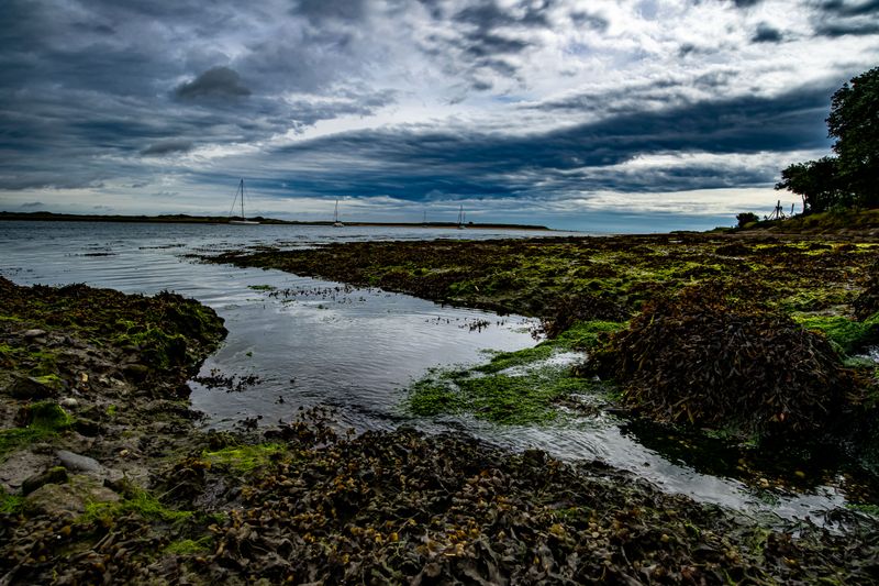 © Cody Ryan Tippie - Inward Haven; sailboats pass of a cove nestled to that of an Eagle's roost.