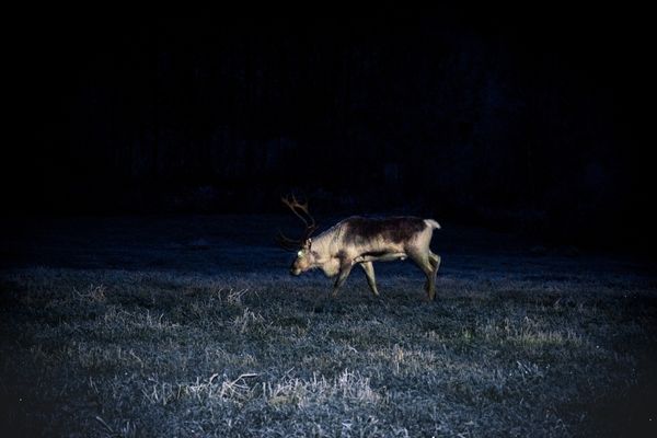 © Maria Lax - Image from the Some Kind Of Heavenly Fire photography project