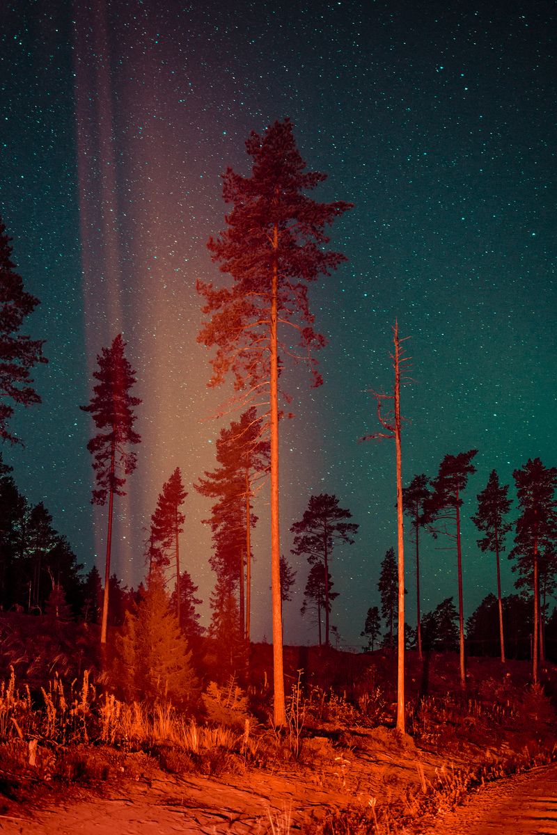 © Maria Lax - Image from the Some Kind Of Heavenly Fire photography project