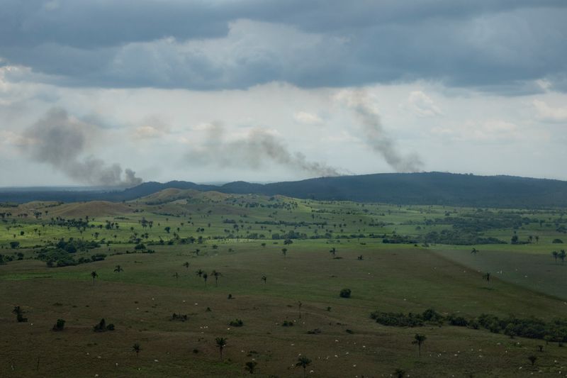 © Carolina Arantes - Image from the Holy Cow photography project