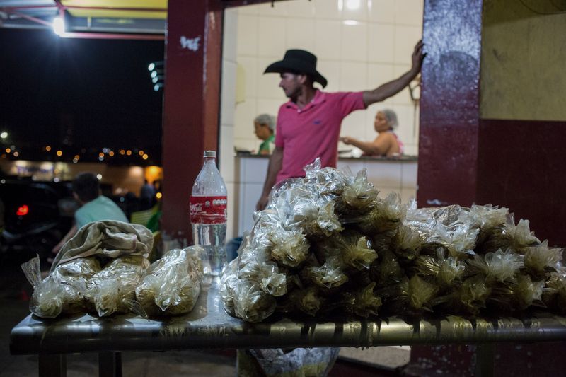 © Carolina Arantes - Image from the Holy Cow photography project