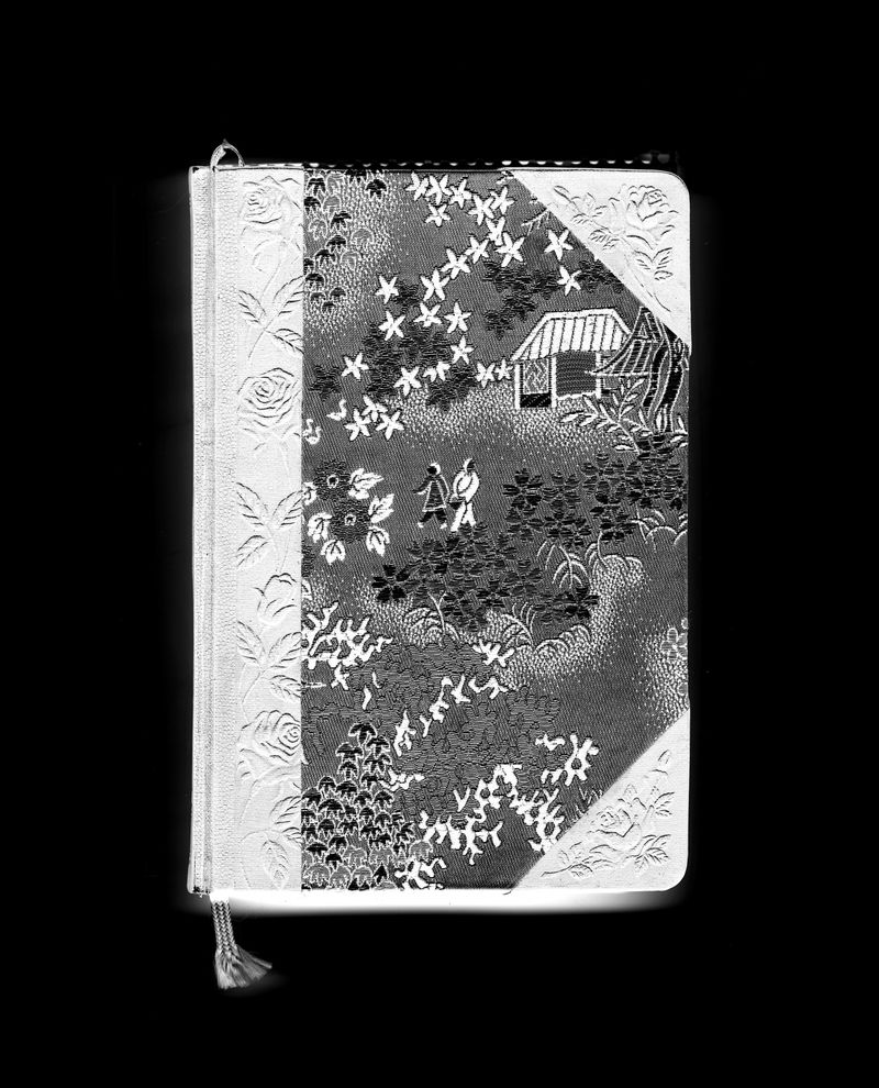 © Peter Watkins - Diary #3 156 cm x 127 cm Vinyl Sticker with solvent inks 2022