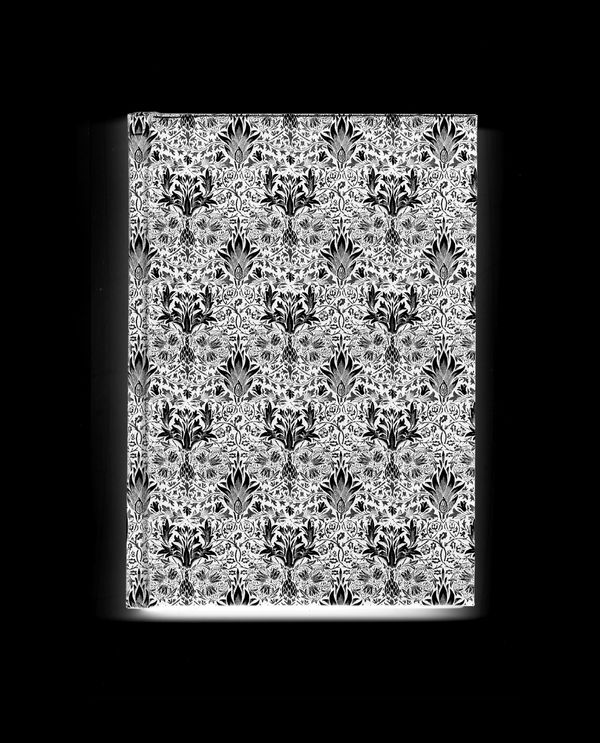 © Peter Watkins - Diary #2, 156 cm x 127 cm, Vinyl Sticker with solvent inks, 2022