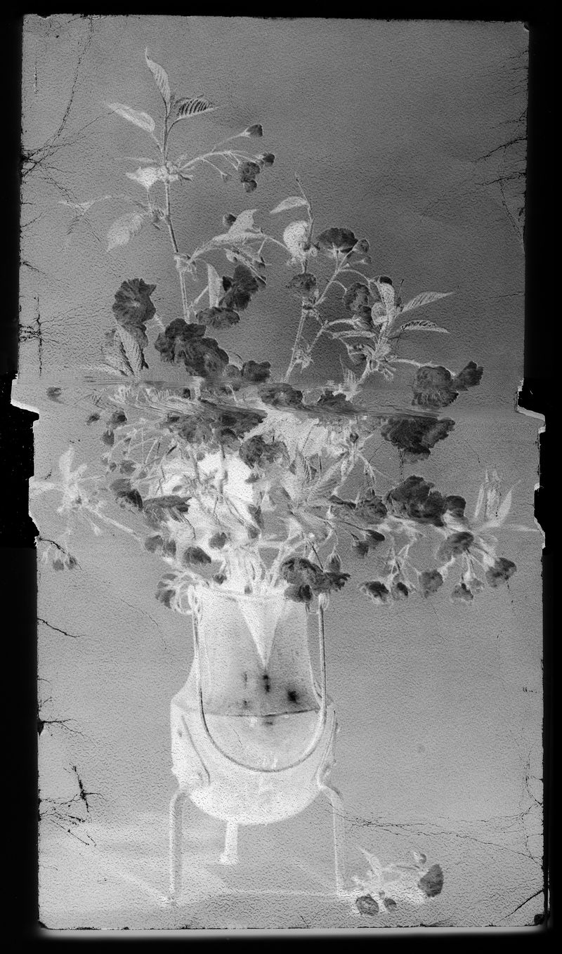 © Peter Watkins - Formal Arrangement 90 cm x 53 cm Archival pigment print Valchromat frame 2022