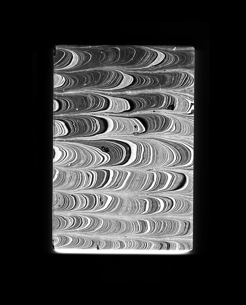© Peter Watkins - Diary #1 156 cm x 127 cm Vinyl Sticker with solvent inks 2022