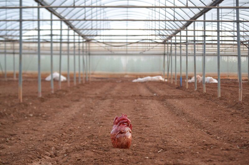 © Demetra Nicodemou - Image from the CARE FOR SELF 'φροντίδα' photography project