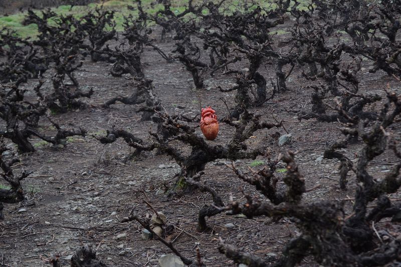 © Demetra Nicodemou - Image from the CARE FOR SELF 'φροντίδα' photography project