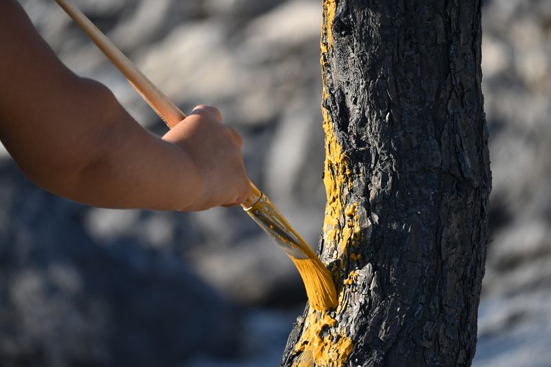 © Demetra Nicodemou - Image from the CARE FOR SELF 'φροντίδα' photography project