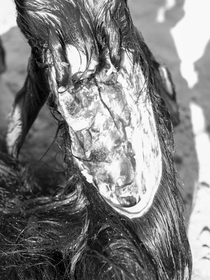 © Samar Zaoui - Image from the Rzuga photography project