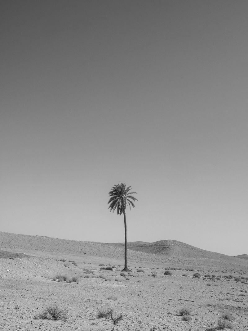 © Samar Zaoui - Image from the Rzuga photography project