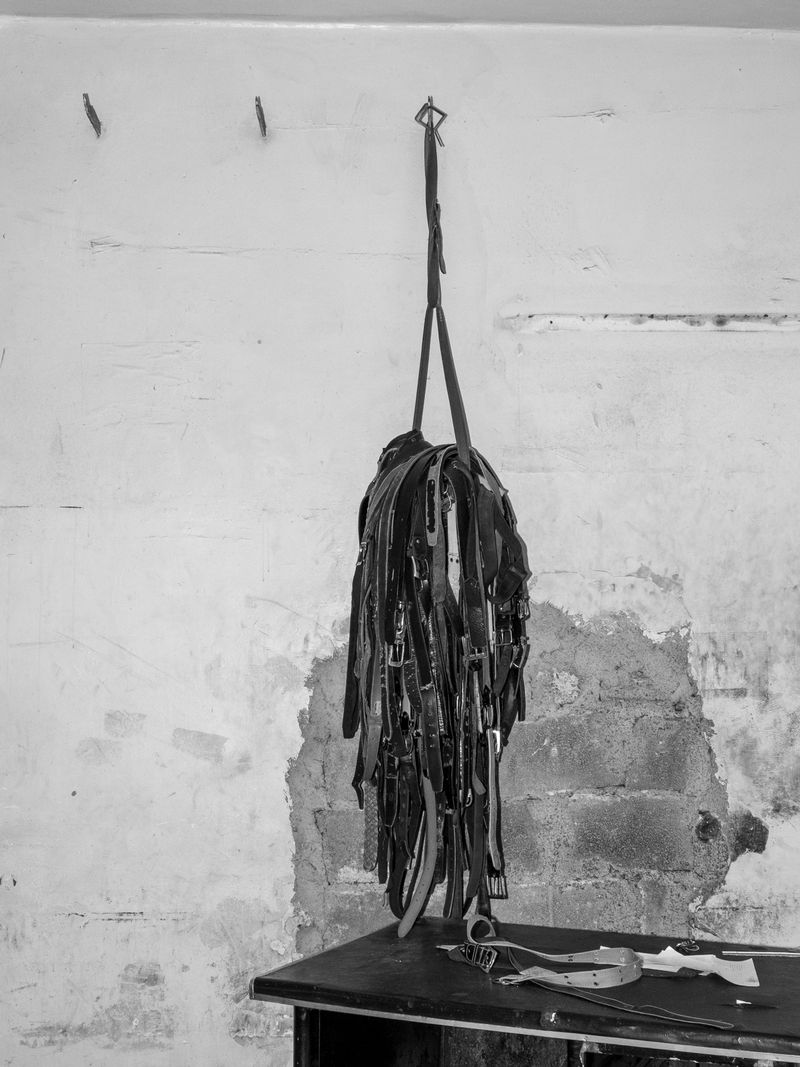 © Samar Zaoui - Image from the Rzuga photography project