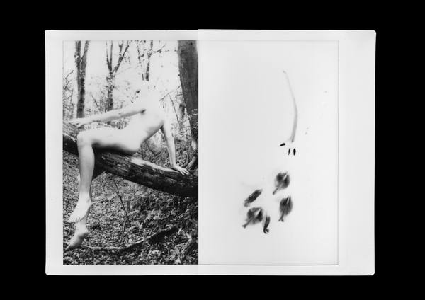 © Canyon - Image from the Ride The Dragon photography project