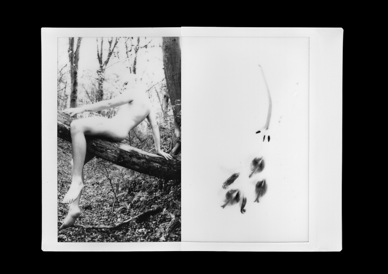 © Canyon - Image from the Ride The Dragon photography project