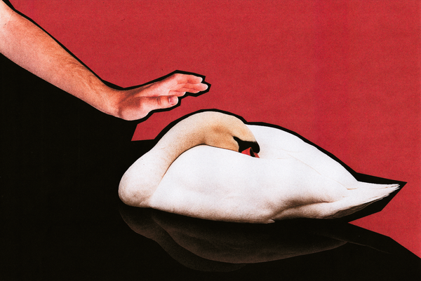 © Canyon - Image from the You're in the right place photography project