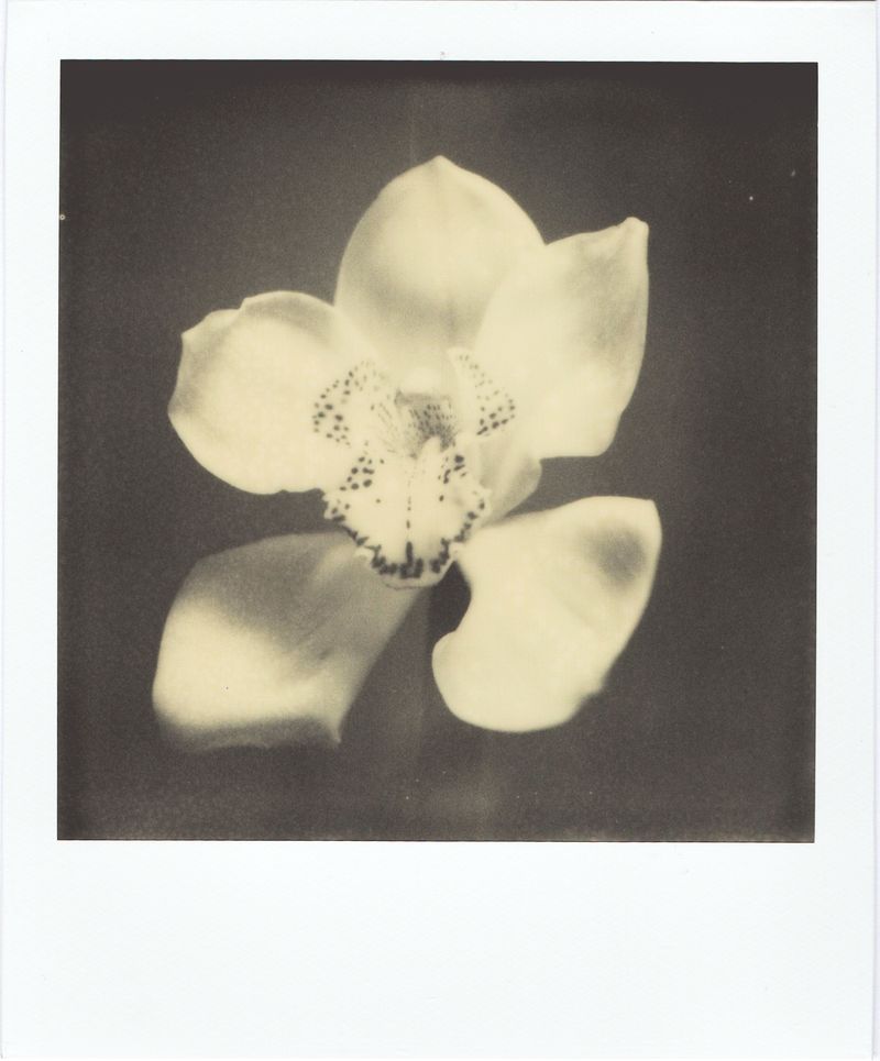 © Canyon - Image from the Have you any dreams you'd like to sell? photography project