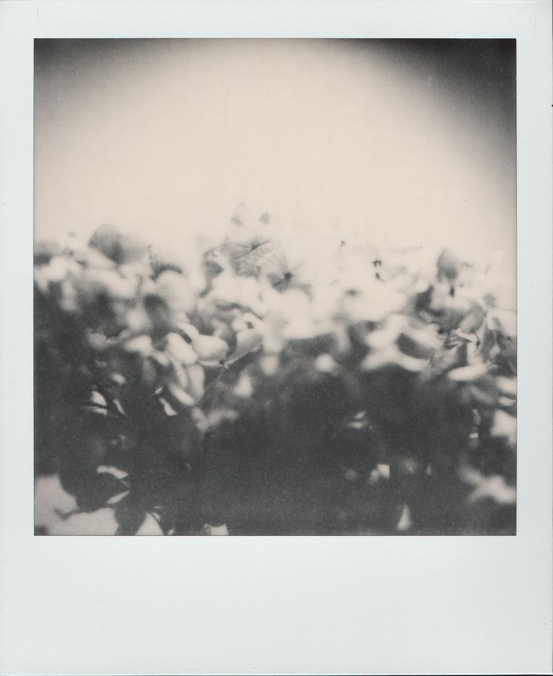 © Canyon - Image from the Have you any dreams you'd like to sell? photography project