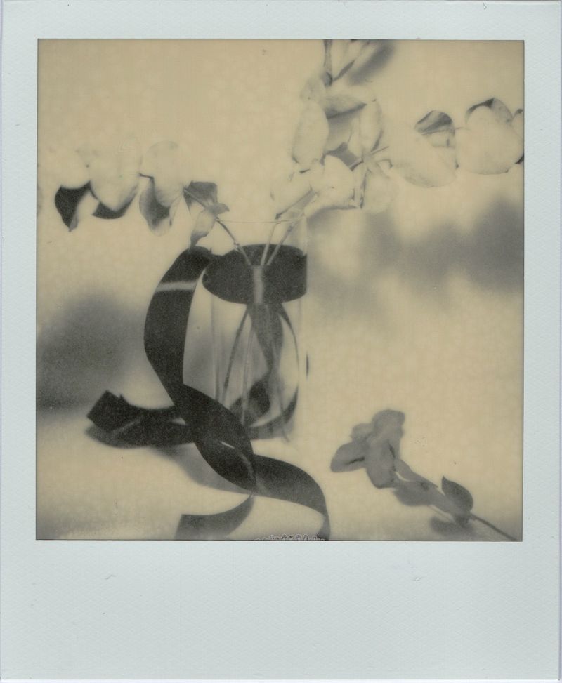 © Canyon - Image from the Have you any dreams you'd like to sell? photography project