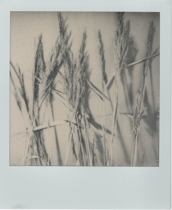 © Canyon - Image from the Have you any dreams you'd like to sell? photography project