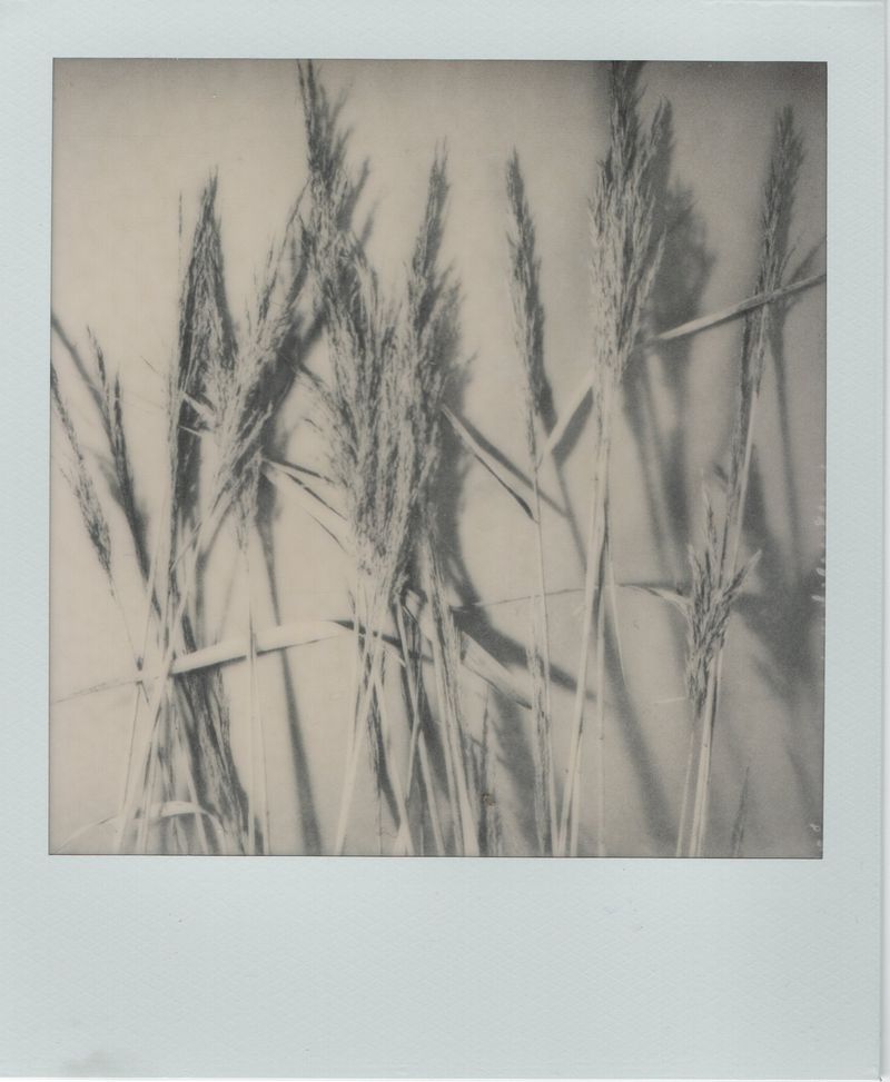 © Canyon - Image from the Have you any dreams you'd like to sell? photography project